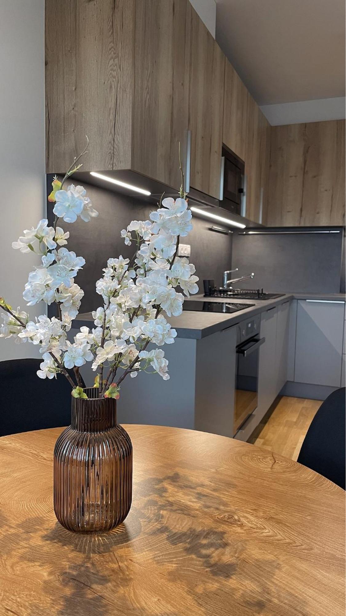 Modern Stylish With Private Garage Apartament *
