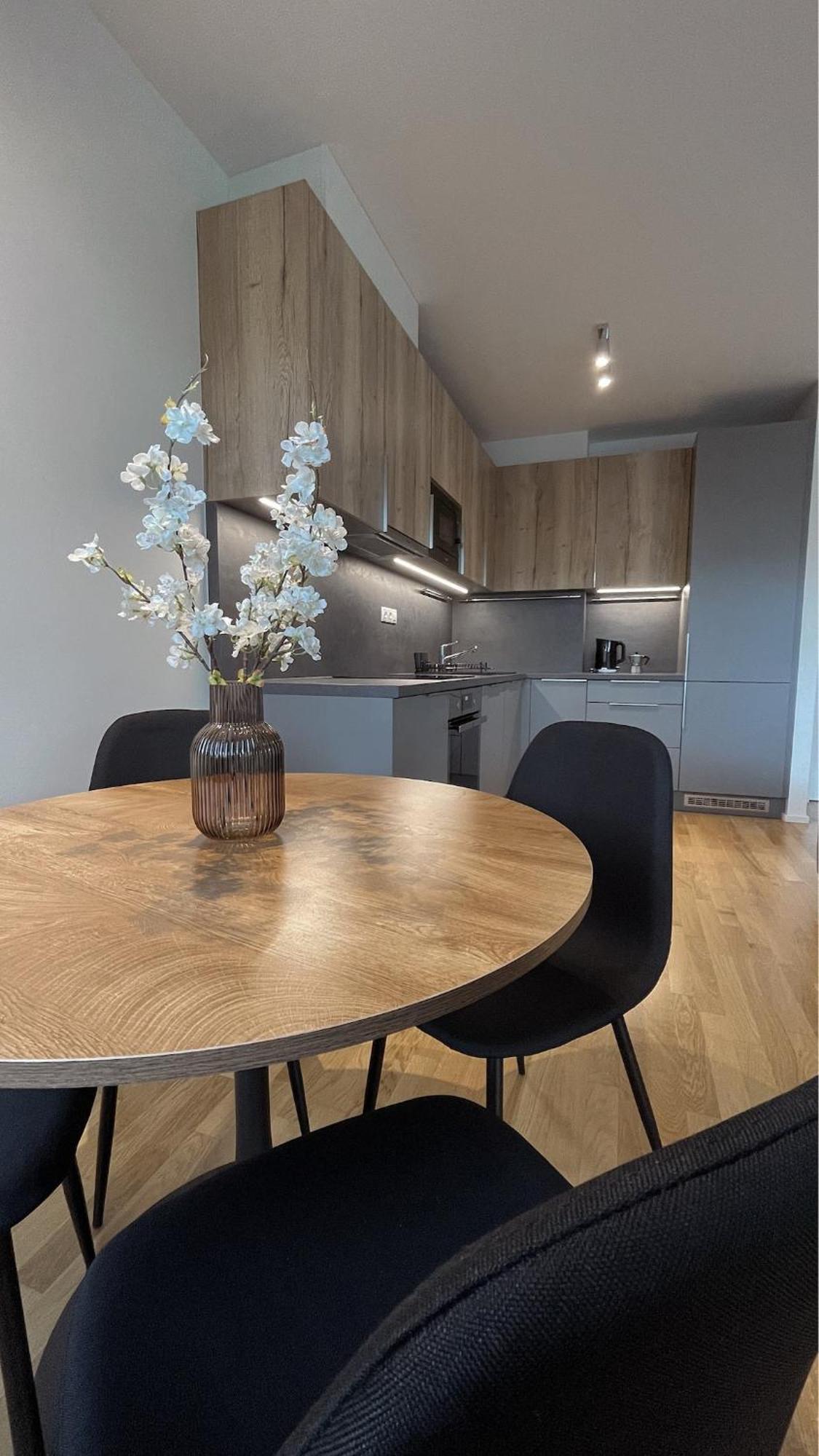 Apartament Modern Stylish With Private Garage
